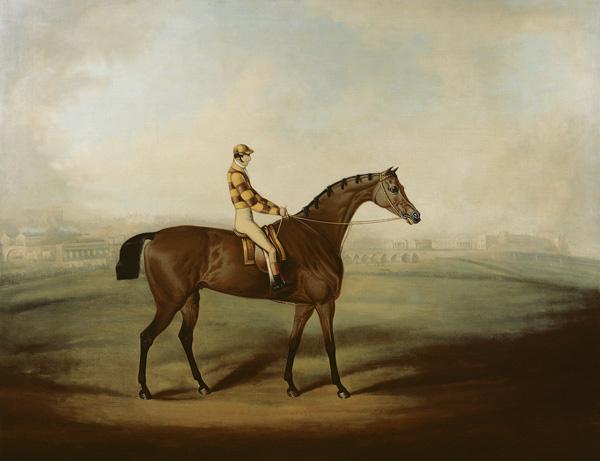 Portrait of Bruitandorf with jockey up and Chester Racecourse Beyond