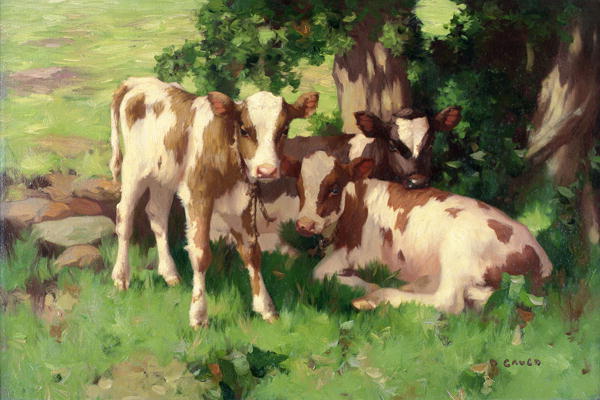 Three Calves in the Shade of a Tree van David Gauld