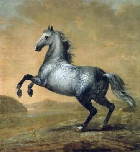 The Little Englishman, King Karl XI (1655-97)'s Horse (oil on canvas)