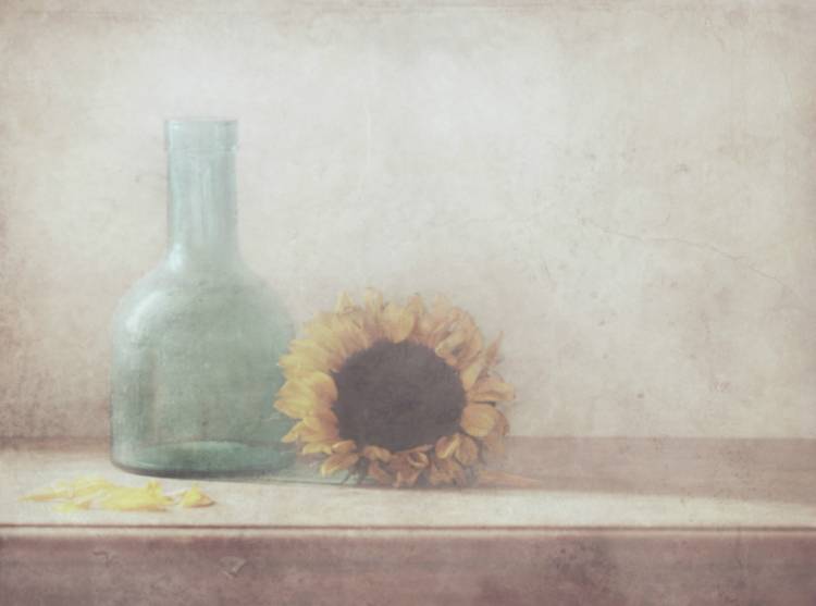 Sunflower van Delphine Devos