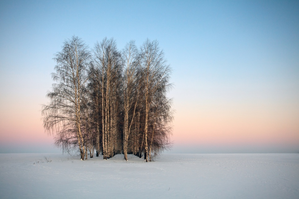 Frozen Spaces van Denis Belyaev
