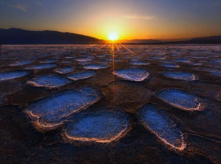 Crystal Flower in Death Valley