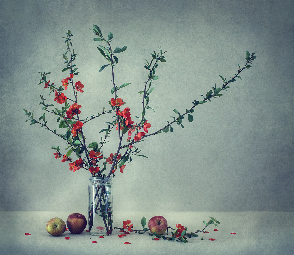 Still life with a Japanese quince van Dimitar Lazarov - Dim