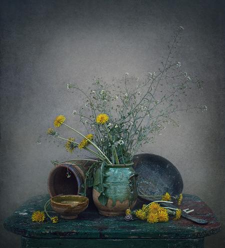 Still life with dandelions