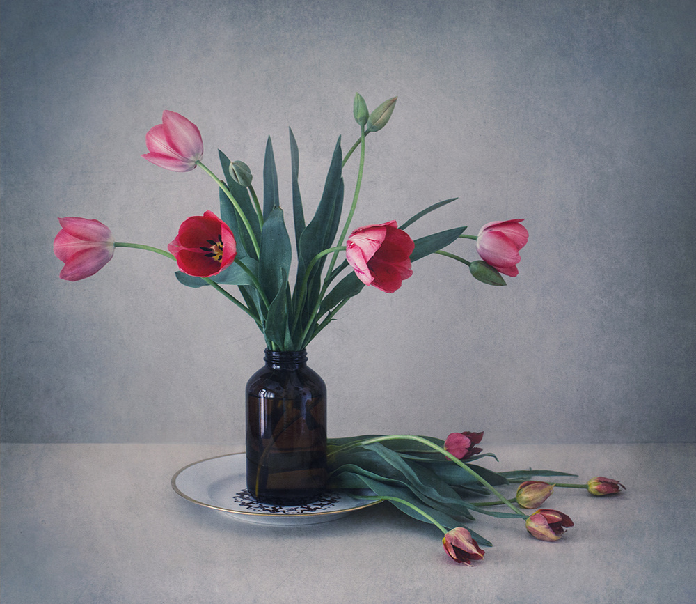 Still life with tulips van Dimitar Lazarov - Dim