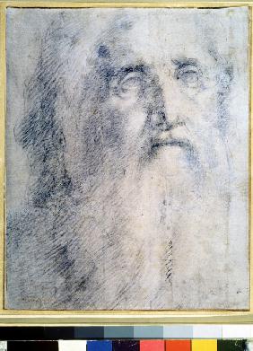 Study of an old Man's head with a beard