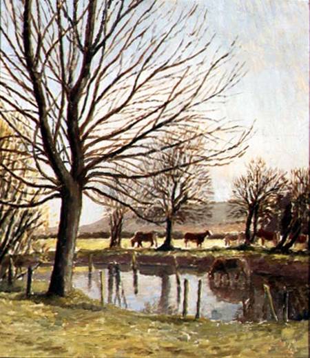 Cattle by a Pond van Dora Carrington