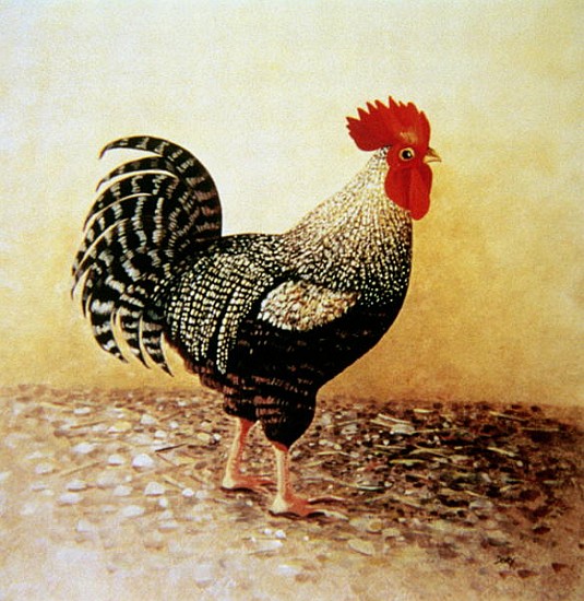 Speckled Rooster (acrylic on canvas)  van Dory  Coffee
