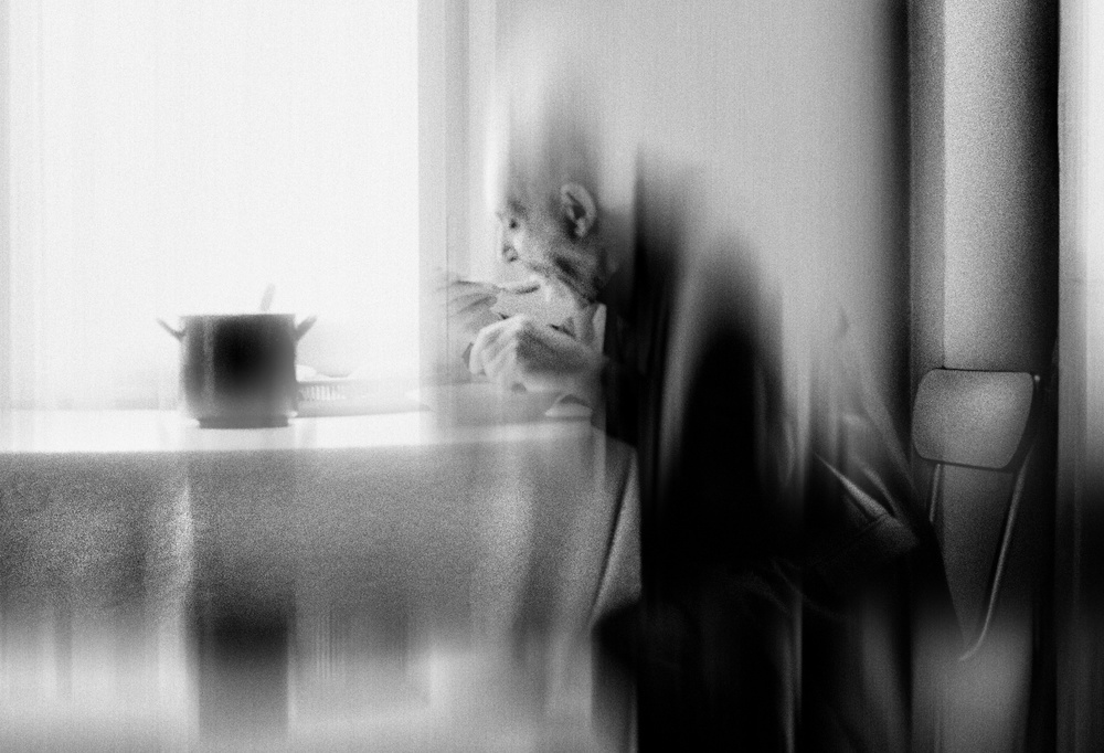 Dining in the silence of oblivion van Dragan Ristic