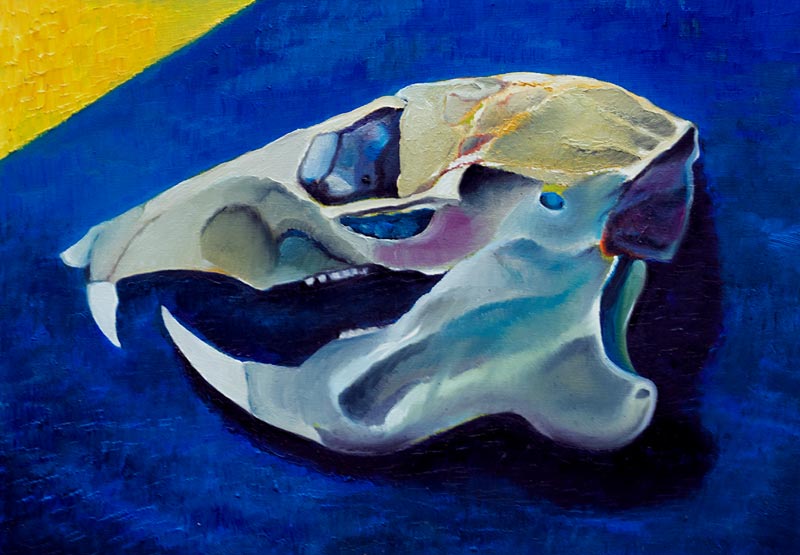 Skull no.5 van Azure