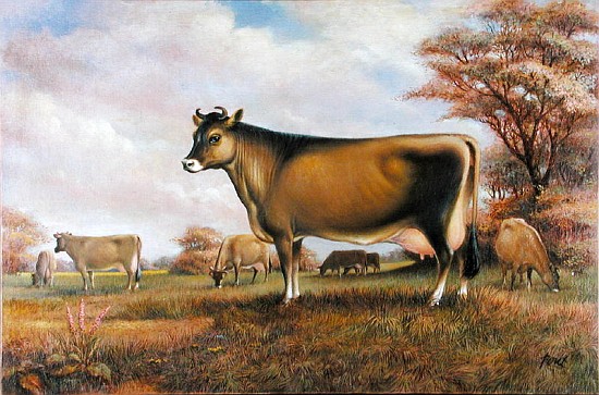 Jersey Cow (oil on canvas)  van Dudley  Pout
