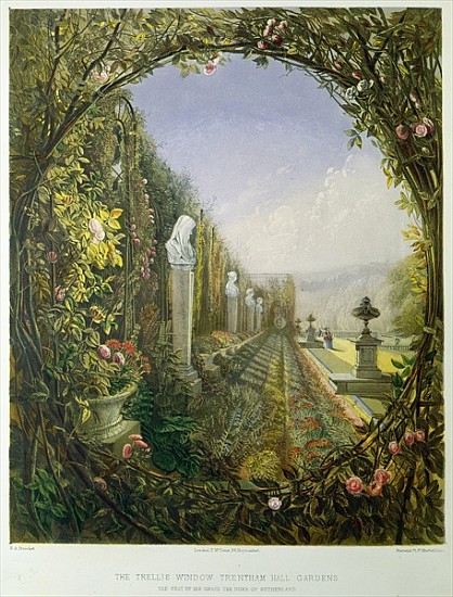 The Trellis Window, Trentham Hall Gardens, from ''Gardens of England'', published 1857 van E. Adveno Brooke