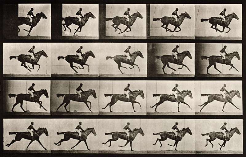 Jockey on a galloping horse, plate 627 from ''Animal Locomotion'', 1887 (b/w photo)  van Eadweard Muybridge