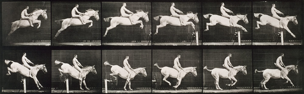 Man and horse jumping a fence, plate 643 from ''Animal Locomotion'', 1887 (b/w photo)  van Eadweard Muybridge