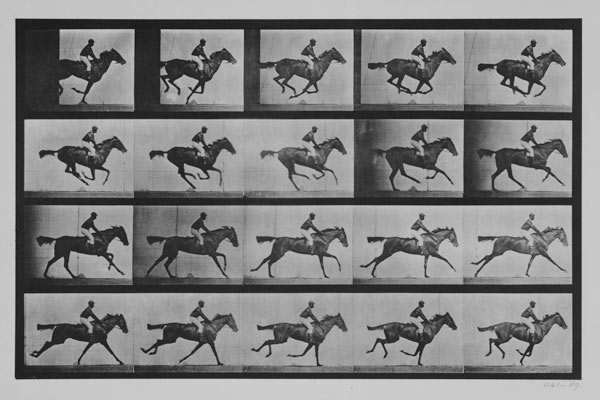 Jockey on a galloping horse, plate 627 from "Animal Locomotion" van Eadweard Muybridge