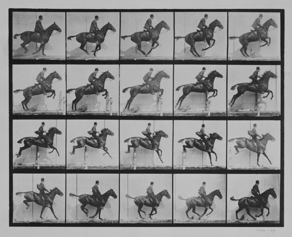 Man and horse jumping a fence, plate 640 from 'Animal Locomotion', 1887 (b/w photo) van Eadweard Muybridge
