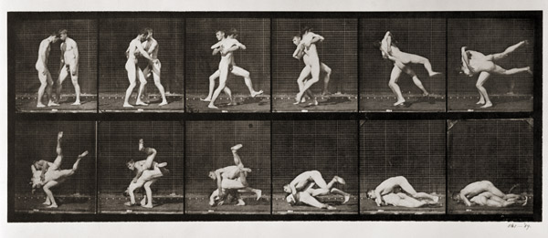 Two Men Wrestling, plate 347 from ''Animal Locomotion'', 1887 (b/w photo)  van Eadweard Muybridge