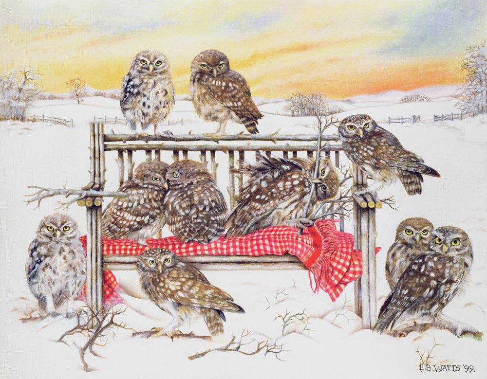 Little Owls on Twig Bench, 1999 (acrylic on canvas)  van E.B.  Watts
