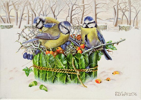 Blue Tits in Leaf Nest, 1996 (acrylic on canvas)  van E.B.  Watts