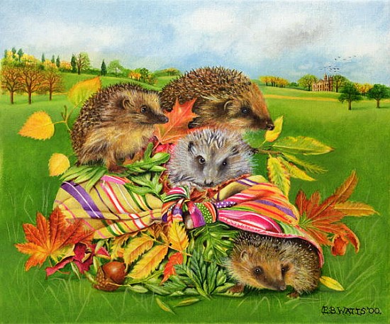 Hedgehogs Inside Scarf, 2000 (acrylic on canvas)  van E.B.  Watts