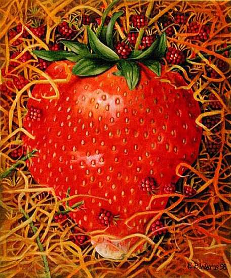 Strawberry in Straw, 1998 (acrylic on canvas)  van E.B.  Watts