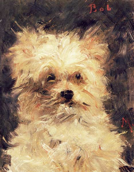 Head of a Dog - "Bob" van Edouard Manet