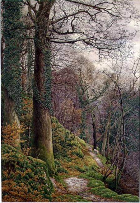 A Path in the Wood van Edward Bentley