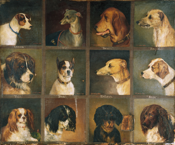 Twaalf favoriete honden  van Edwin Frederick Holt