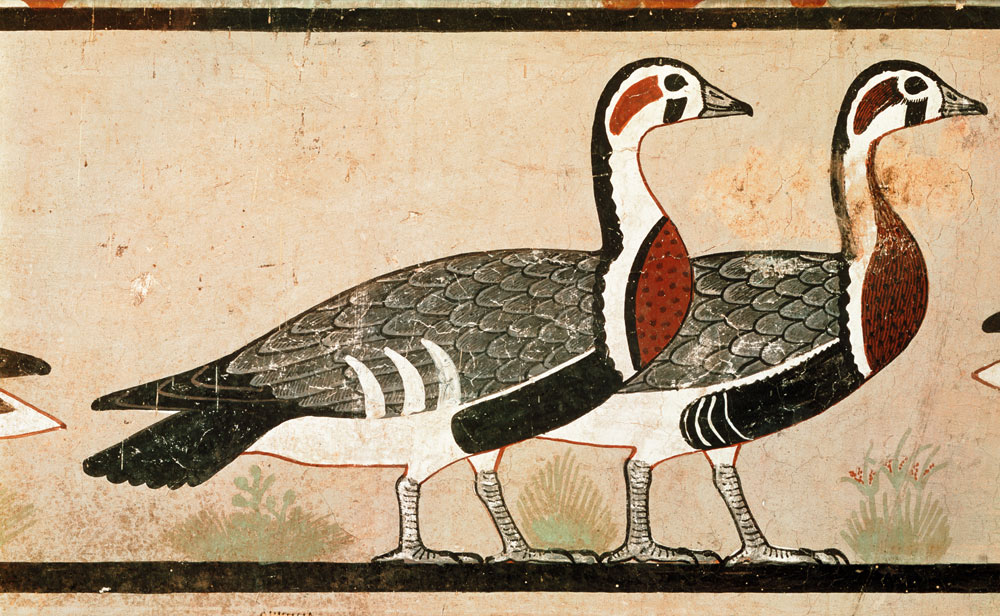 Meidum geese, from the Tomb of Nefermaat and Atet, Old Kingdom van Egyptian