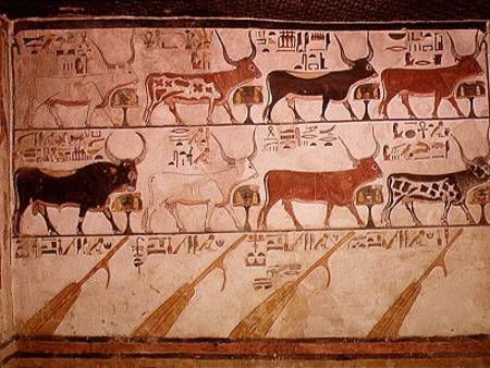 The seven celestial cows and the sacred bull and the four rudders of heaven, from the Tomb of Nefert van Egyptian