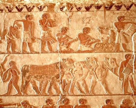 Painted relief depicting the posting of taxes and a group of cattle, Old Kingdom van Egyptian
