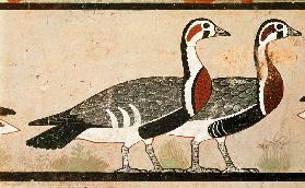 Meidum geese, from the Tomb of Nefermaat and Atet, Old Kingdom