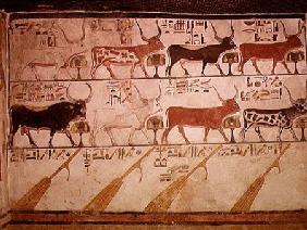 The seven celestial cows and the sacred bull and the four rudders of heaven, from the Tomb of Nefert