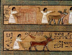 Reaping and ploughing, detail from a depiction of farming activities in the afterlife, from the Book