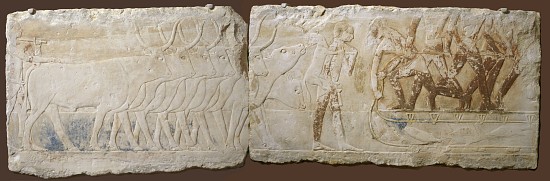 Relief of Peasants Driving Cattle and Fishing, Old Kingdom, 2450-2290 BC van Egyptian School