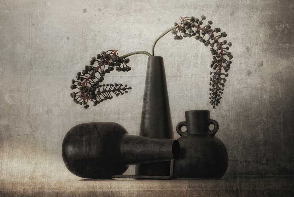 Black pots van Elena Arjona
