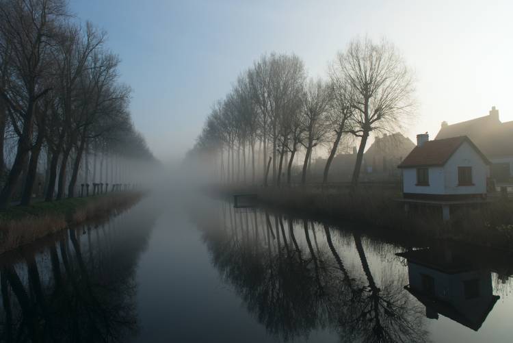 Mist across the Canal van Elisabeth Wehrmann