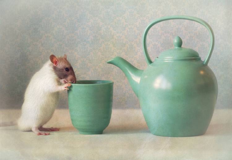 The Teapot van Ellen Van Deelen