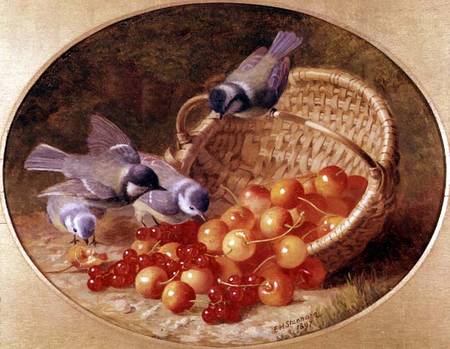 Bluetits pecking at cherries van Eloise Harriet Stannard