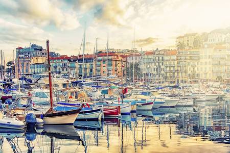 Harbor In Cannes