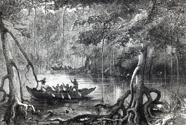 Mangrove Forest'', frontispiece illustration from ''Twenty Nine Years in the West Indies and Central van English School