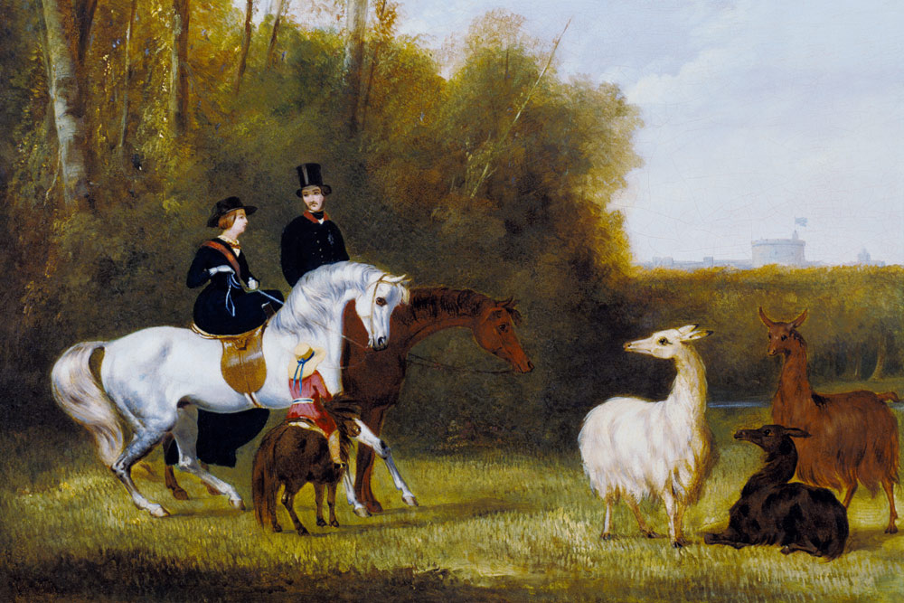 Queen Victoria, Prince Albert and the Prince of Wales at Windsor Park with their Herd of Llamas van English School