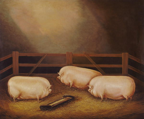 Three Prize Pigs outside a Sty van English School