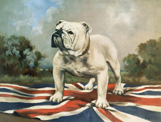 British Bulldog van English School