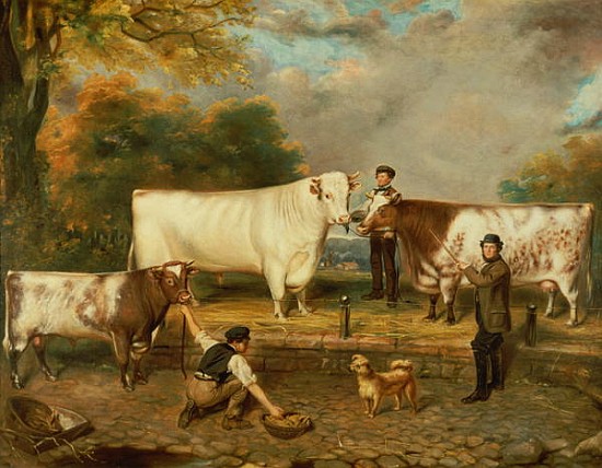 Cows with a herdsman van English School