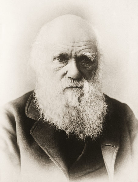 Charles Darwin (litho)  van English School