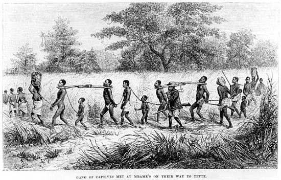 Gang of Captives Met at Mbame''s on their way to Tette; engraved by Josiah Wood Whymper (1813-1903) van English School