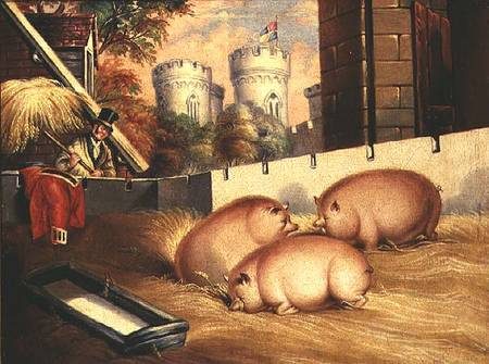 Three Pigs with Castle in the Background van English School