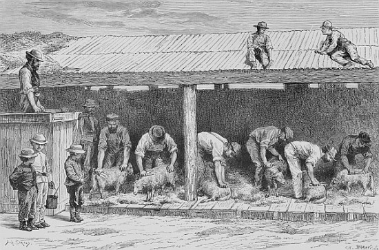 Sheep Shearing, c.1880, from ''Australian Pictures'' Howard Willoughby, publishedthe Religious Tract van English School
