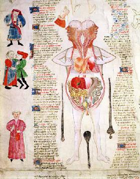 Anatomical diagram, from ''De arte phisicali e de cirurgia'' John Arderne